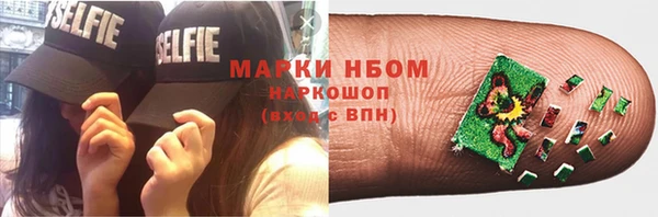 прущие грибы Медногорск