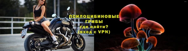 спайс Алексеевка