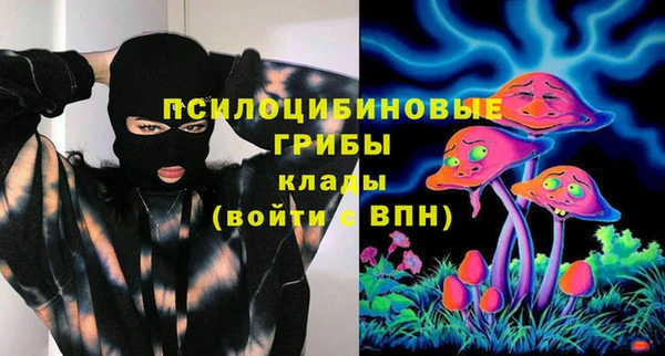 спиды Алексин