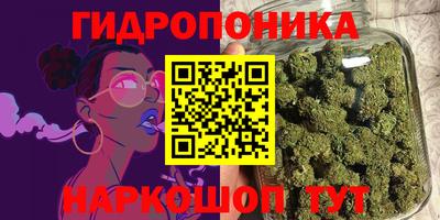 PSILOCYBIN Заволжье