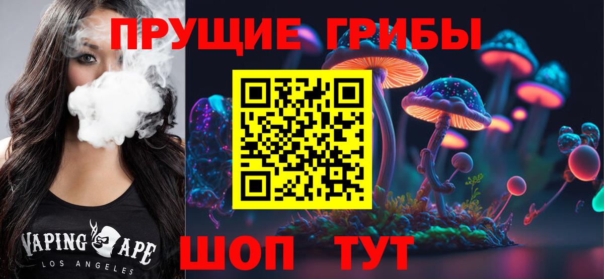 Псилоцибиновые грибы Psilocybe  Вход с VPN  Нижнекамск 